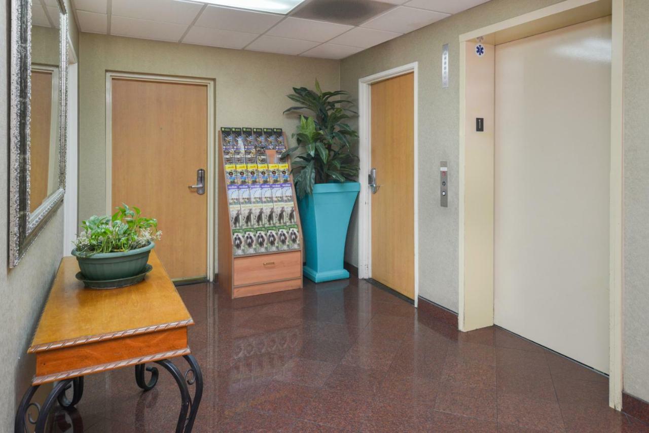 H3 Inn & Suites - Lax Airport - Los Angeles Ίνγκλγουντ Εξωτερικό φωτογραφία